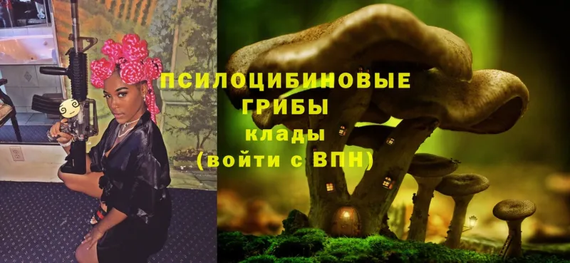 Псилоцибиновые грибы Magic Shrooms  Грайворон 